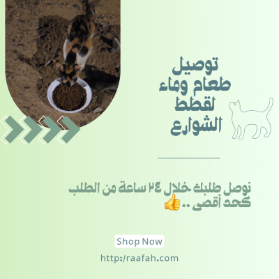 صحن كبير يكفي ٨ الى ١٠ قطط